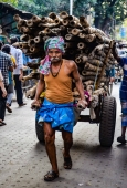 IIP Online Student Photography